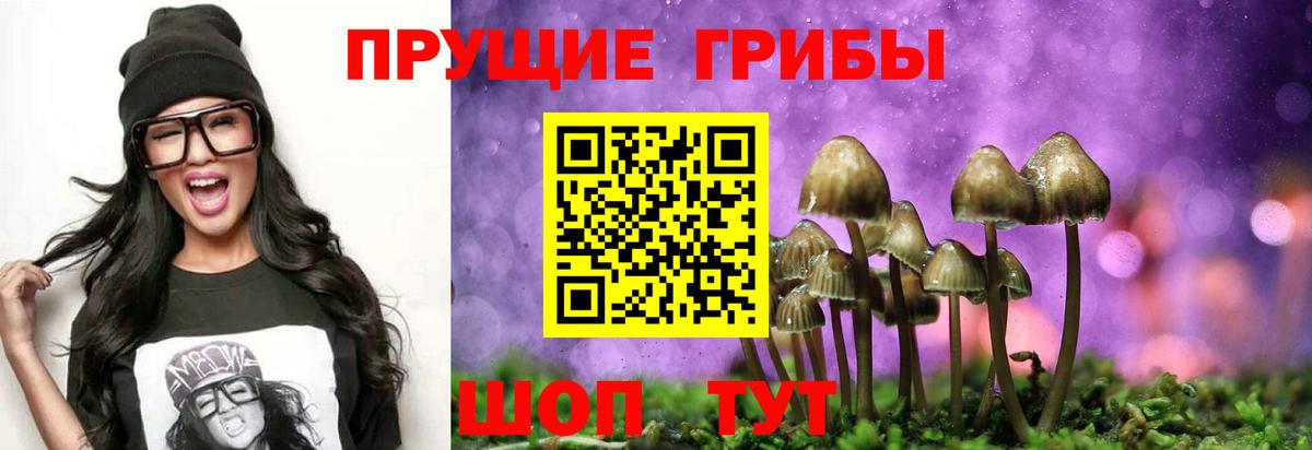 Псилоцибиновые грибы Magic Shrooms  Псилоцибиновые грибы прущие грибы  Вход с VPN  Россошь 